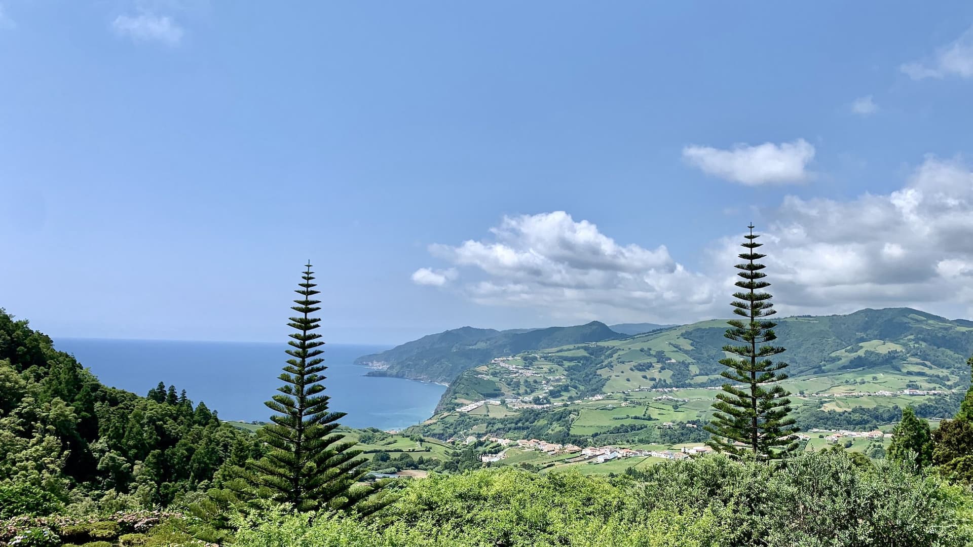 Laurisilva Forest and Nordeste Coastline