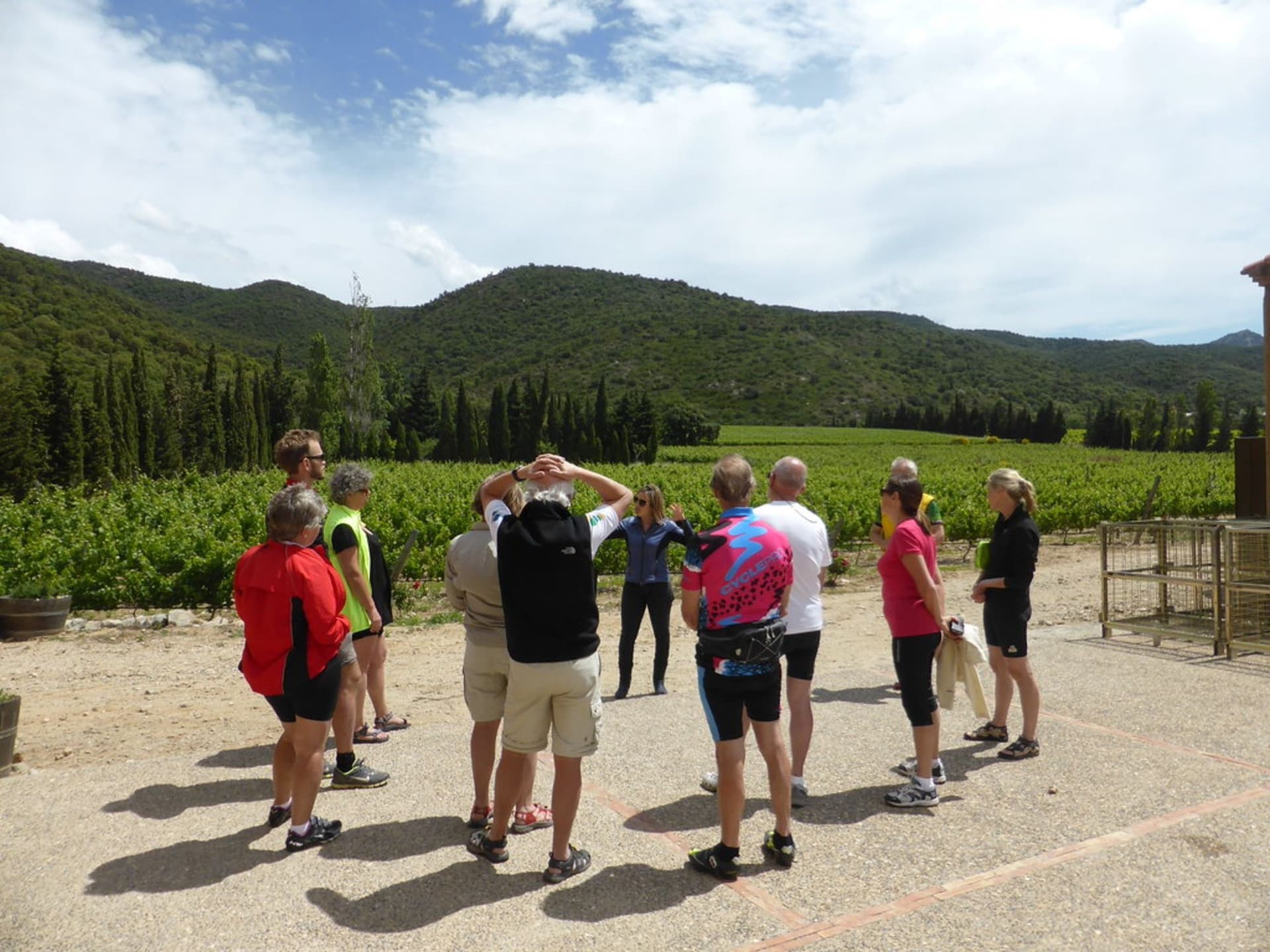Expert Local Guides