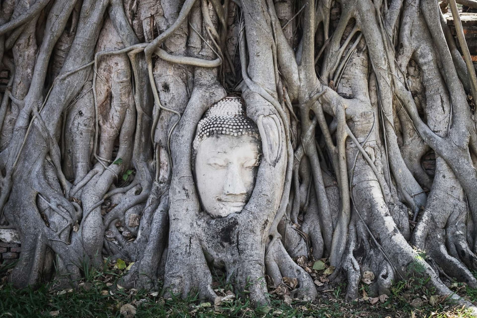 UNESCO World Heritage Sites 