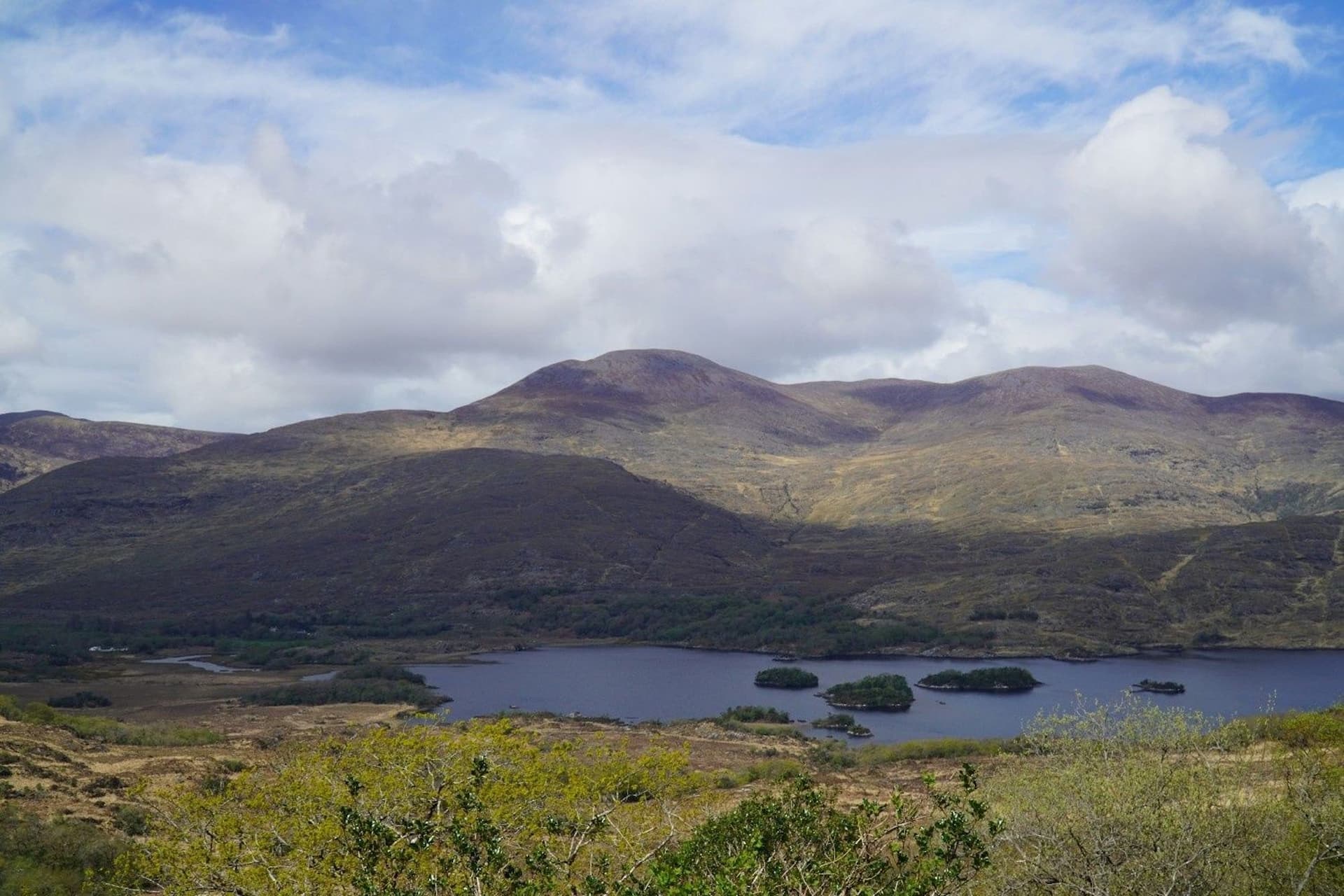 Step Back in Time at Muckross Abbey and House