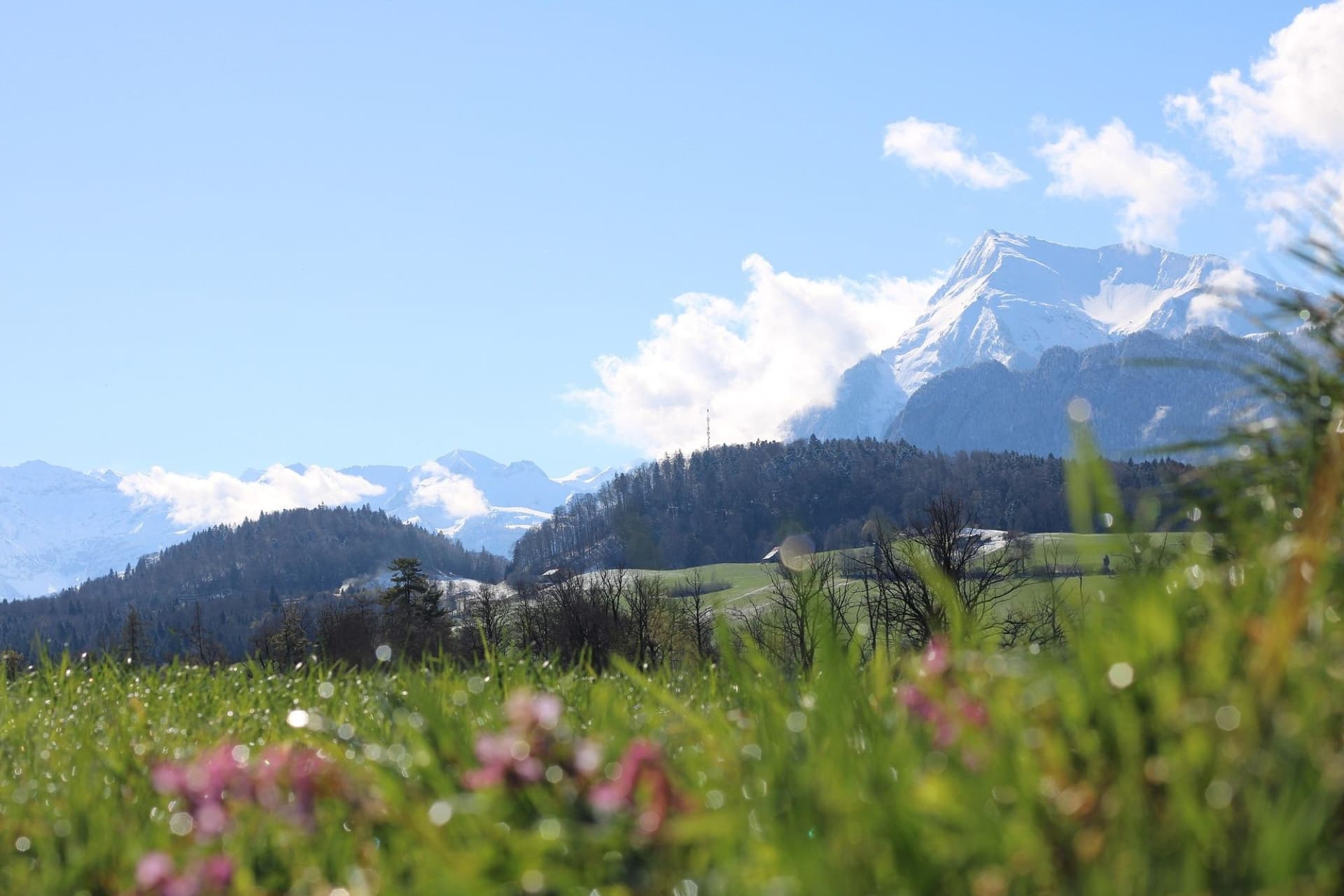 Gantrisch Landscapes