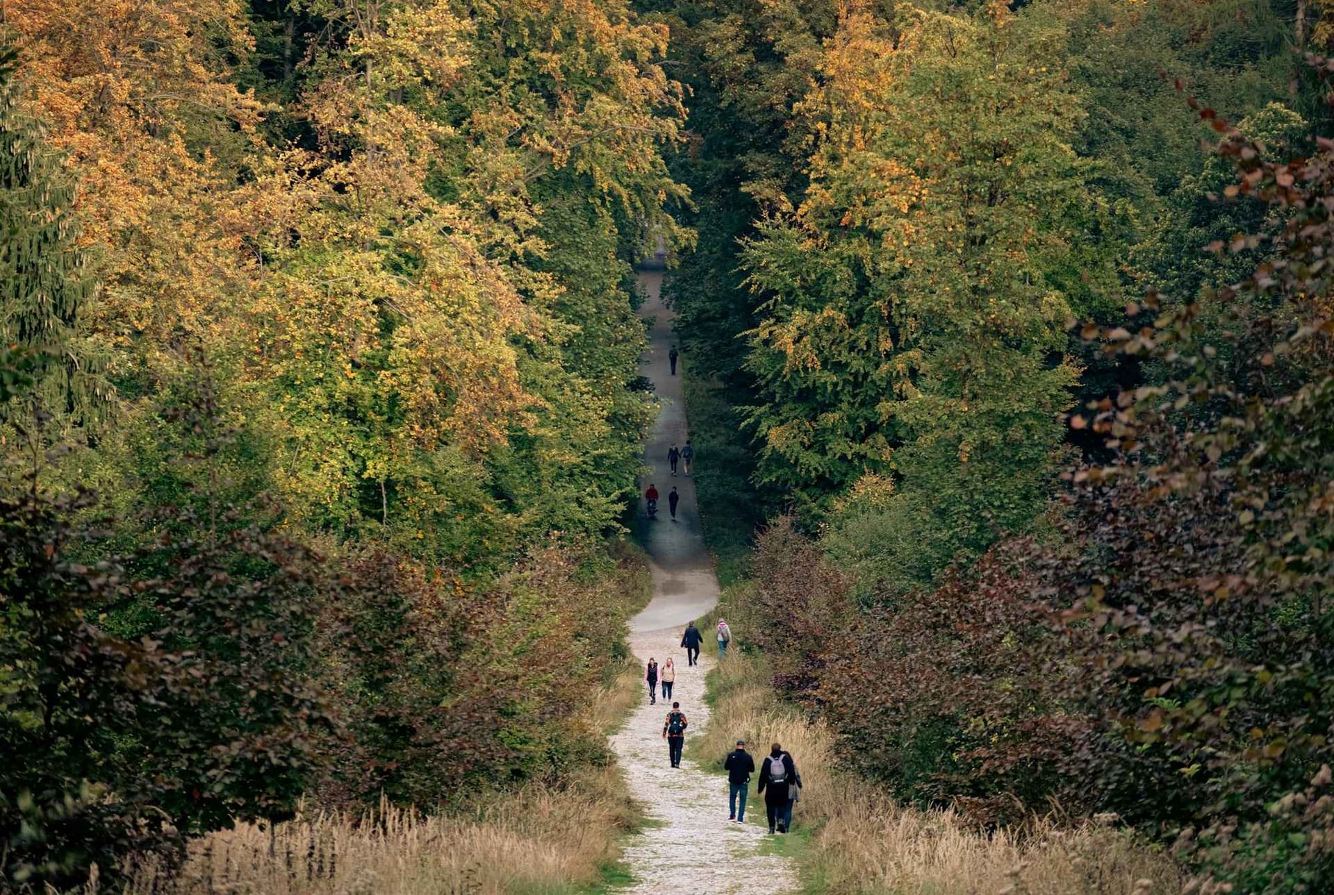 The Complete Guide to Hiking Germany