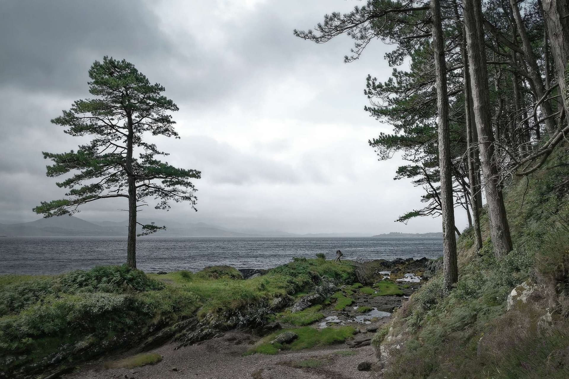 Coastal Scenery of Kenmare Bay