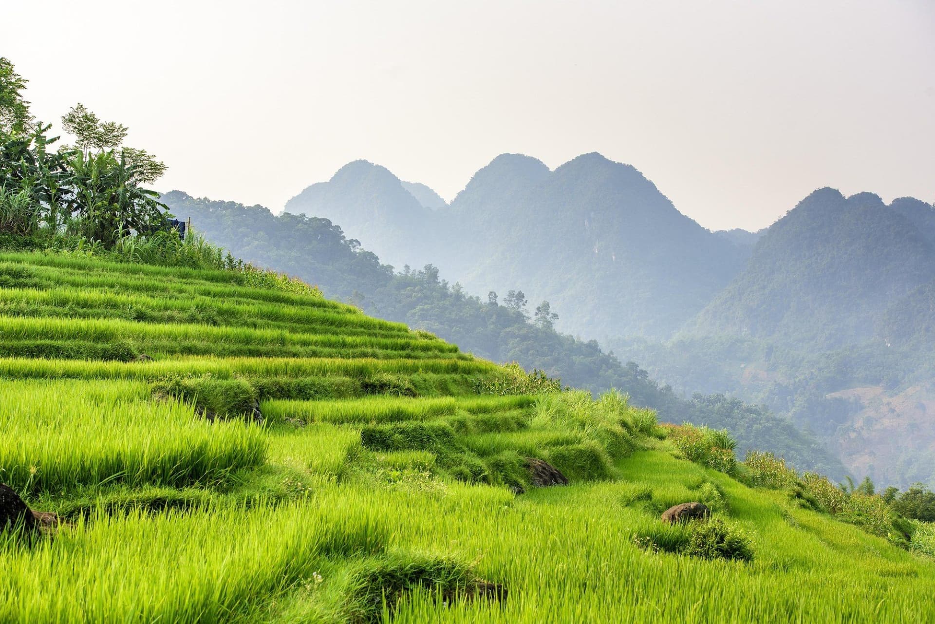 Epic Northern Vietnam Hiking and Walking Tour