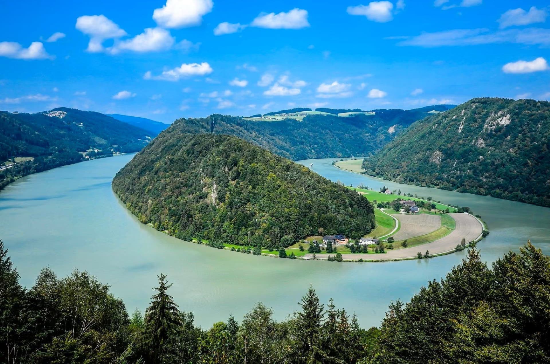 Danube Loop Schlögener Schlinge