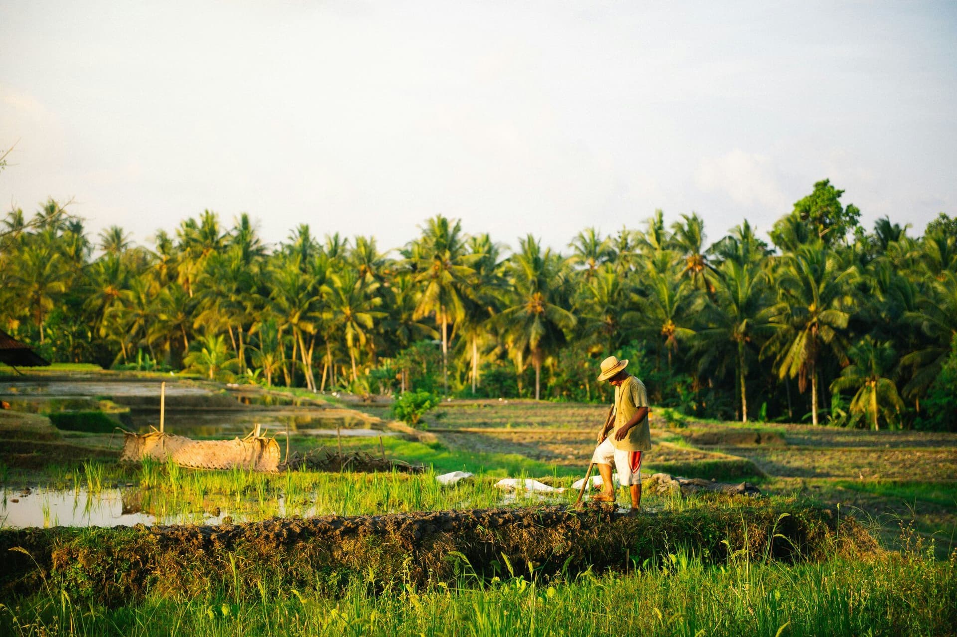 The Complete Guide to Hiking the Pekoe Trail 