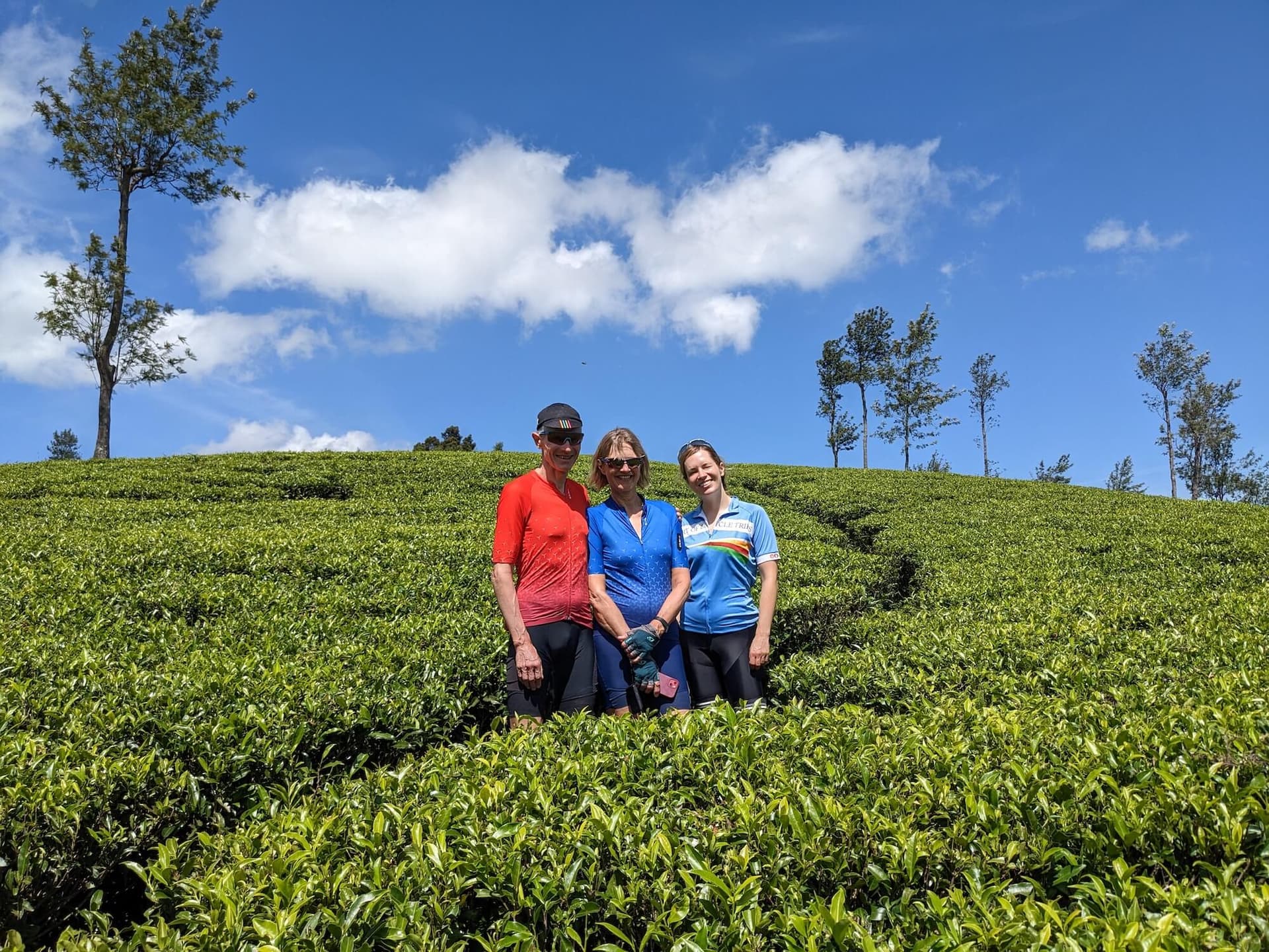 Trek through tea plantations and spice gardens