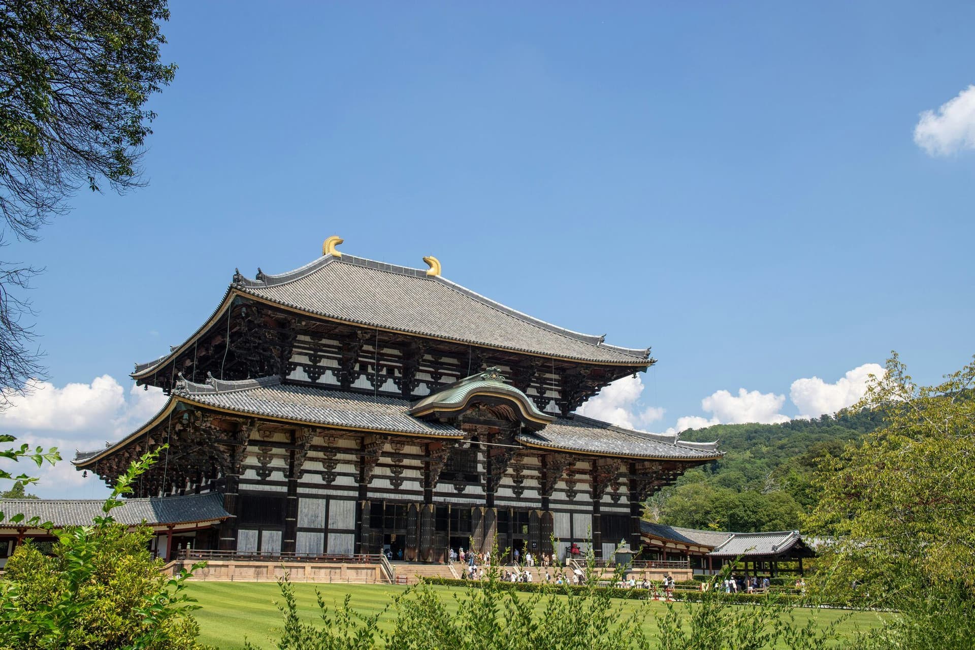 Highlights of Japan: From Tokyo to Kyoto 
