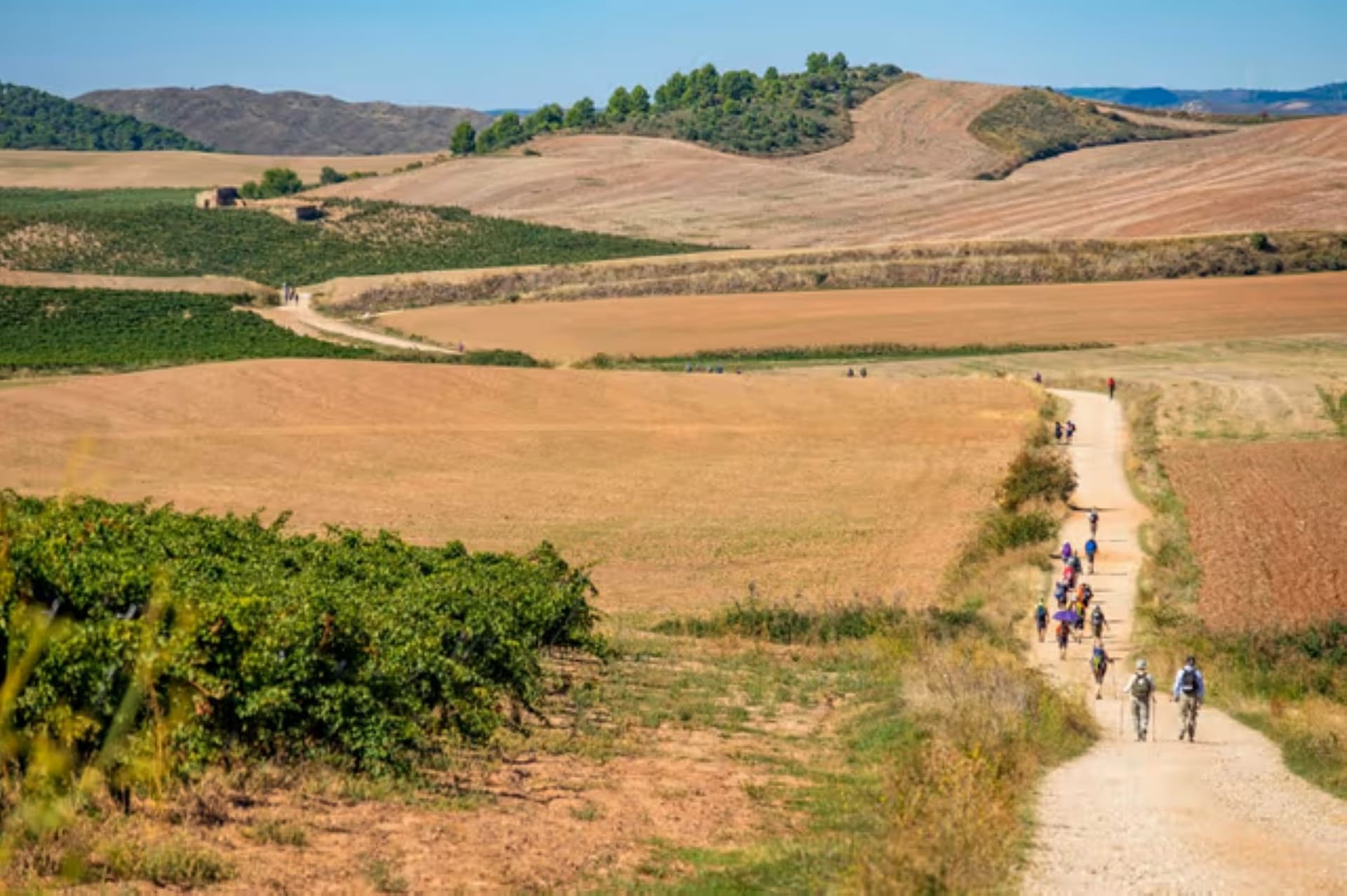 Historic Camino Francés