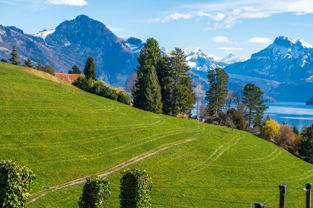 Scenic Ride to Weggis on Lake Lucerne