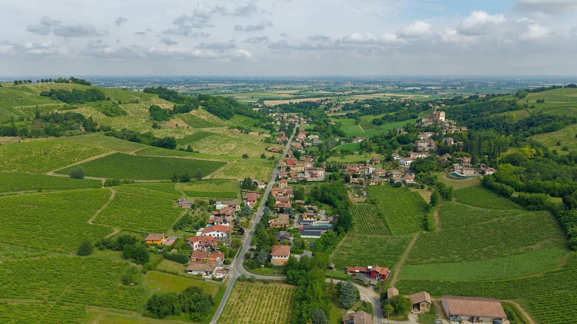 Great Wine Landscapes