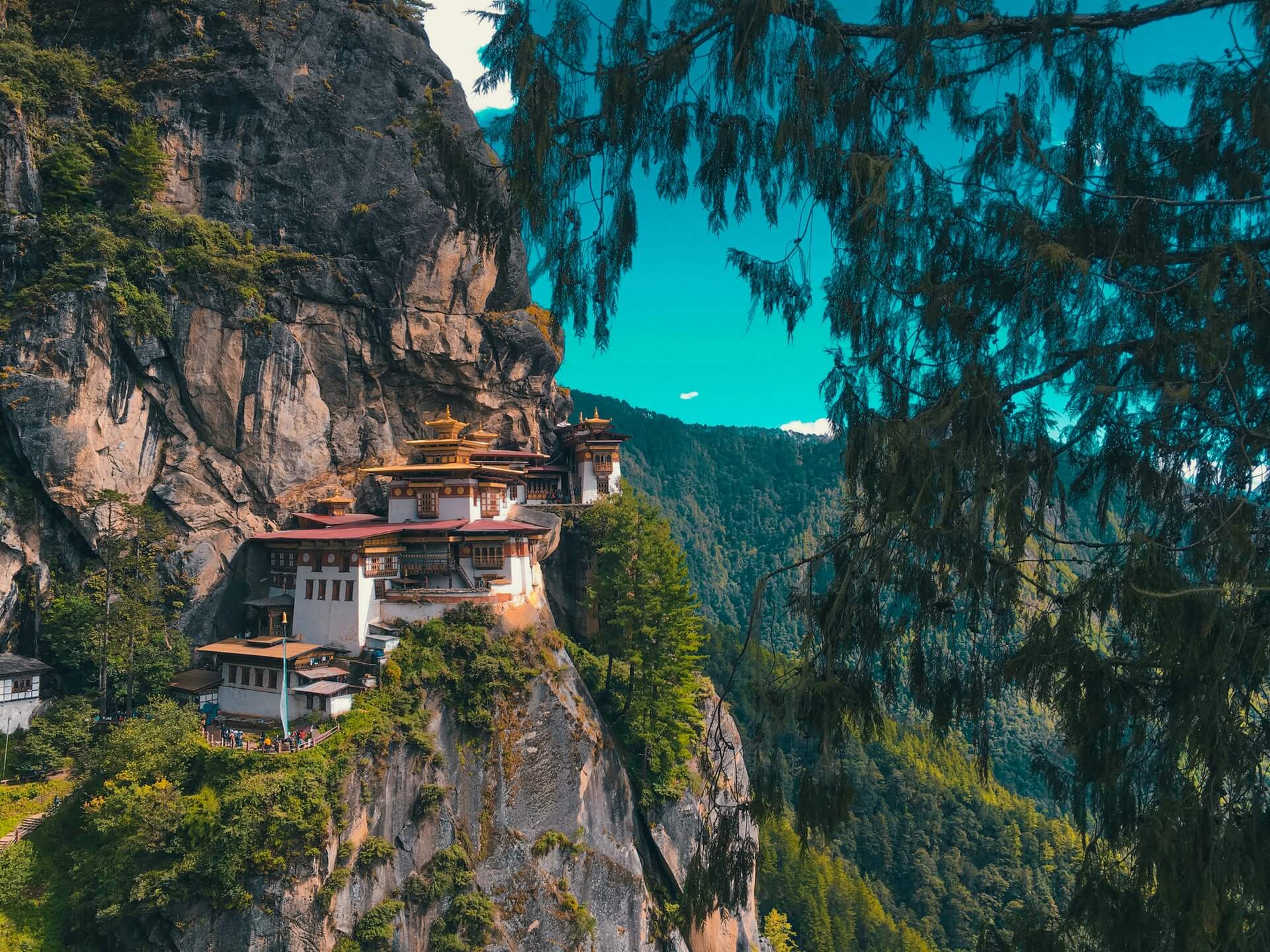 Tiger's nest