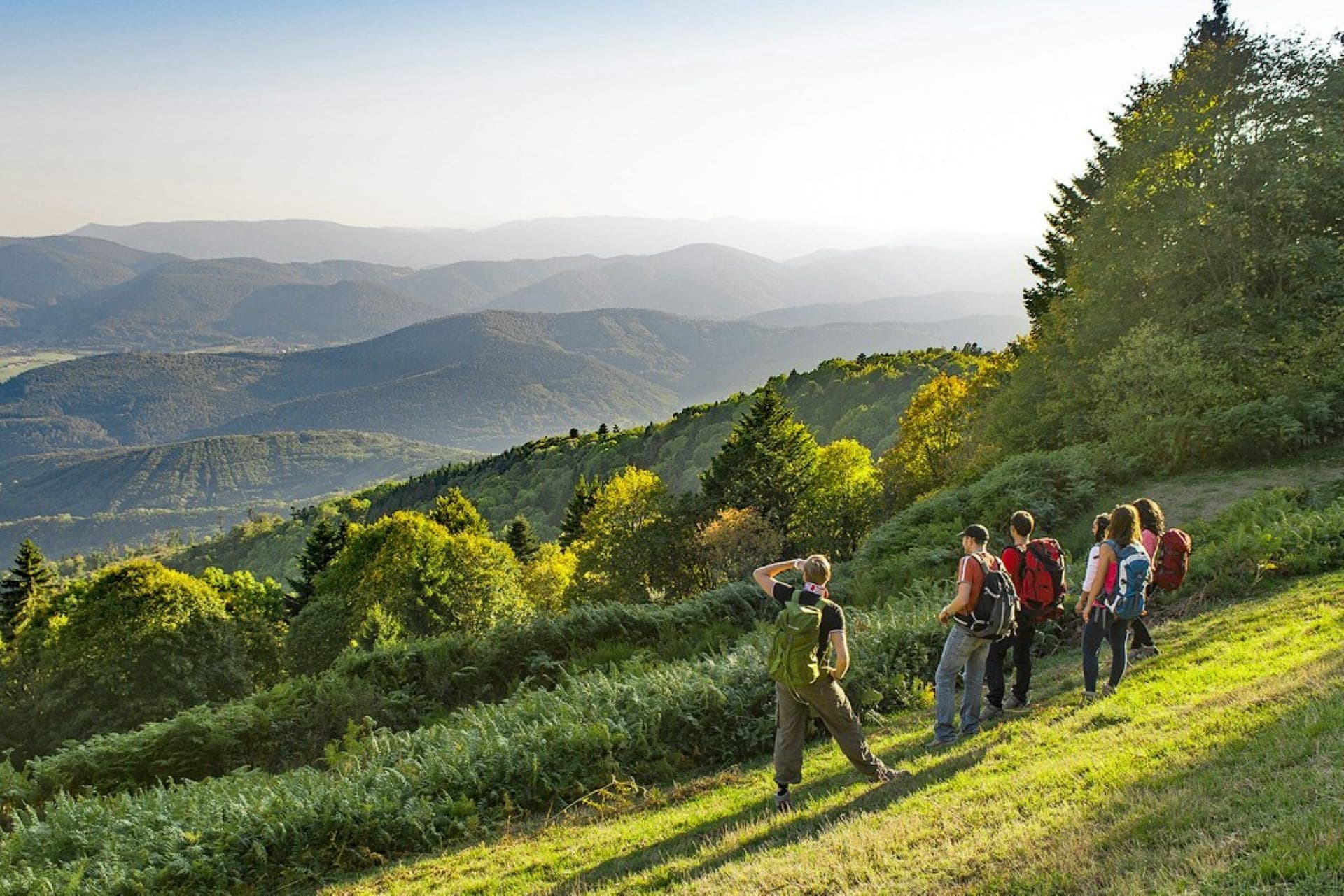 Ballons des Vosges Regional Nature Park