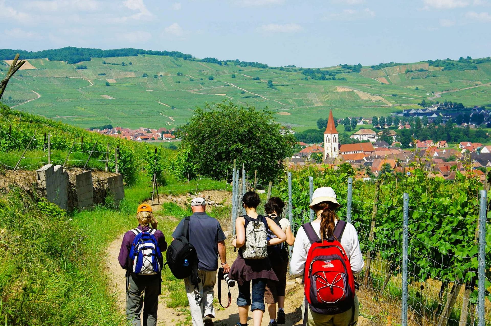 The Complete Guide to Hiking Alsace