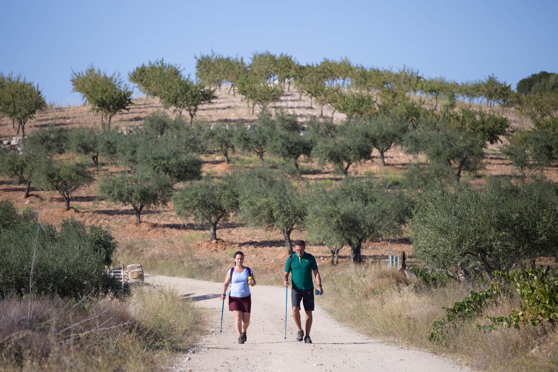 The Complete Guide to Hiking the Douro Valley