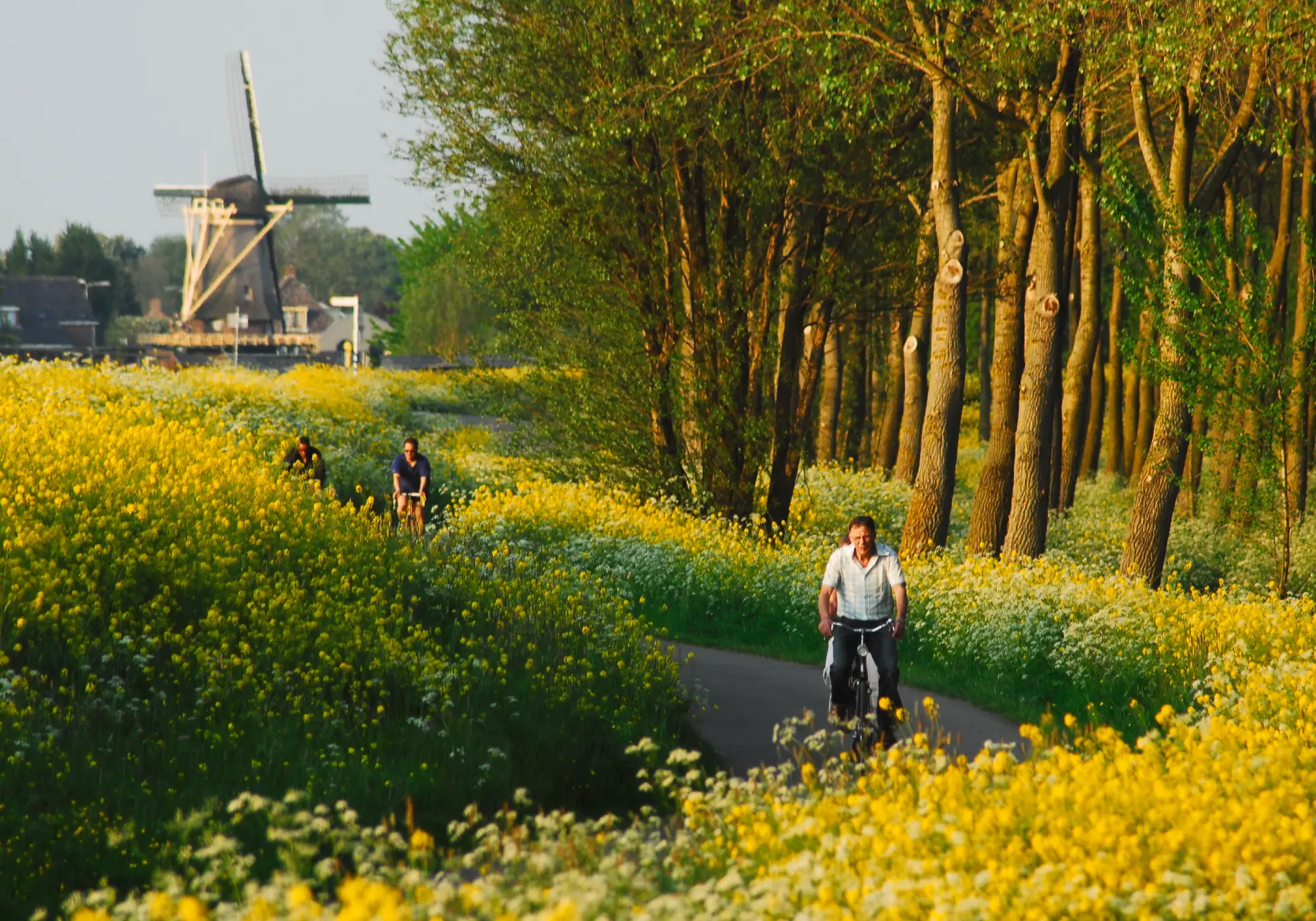 Netherlands