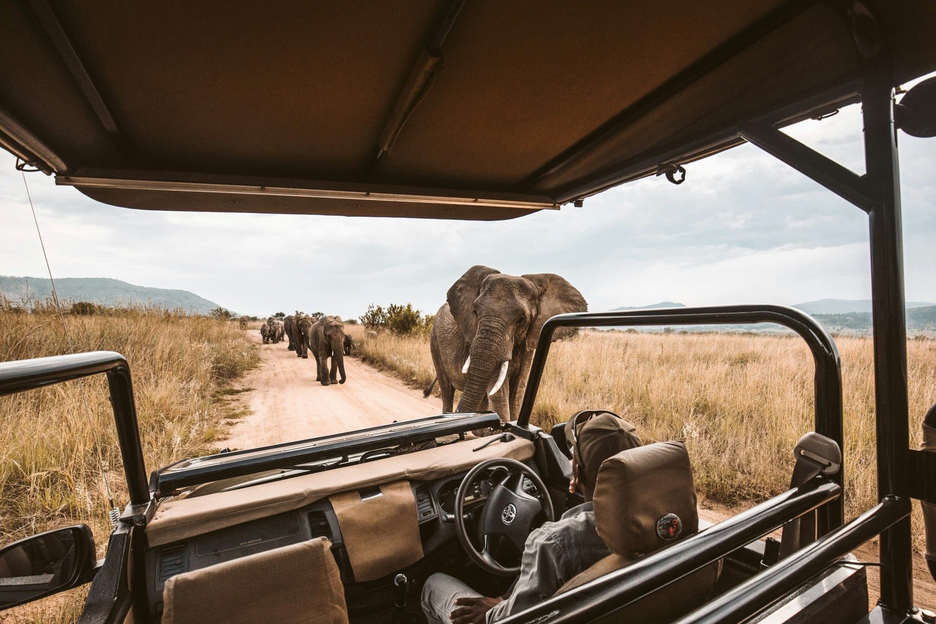 Sunrise and Sunset Safaris