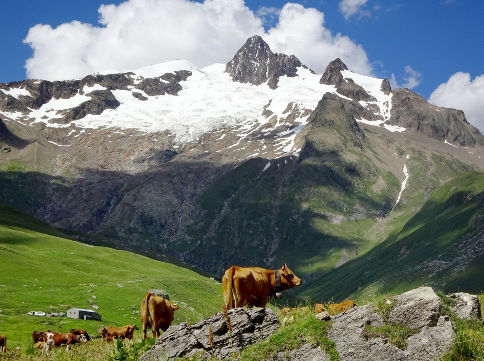 Mont Blanc East Hiking Tour 