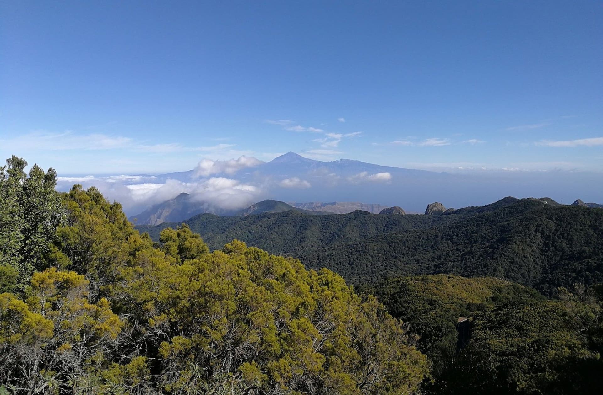 Garajonay National Park