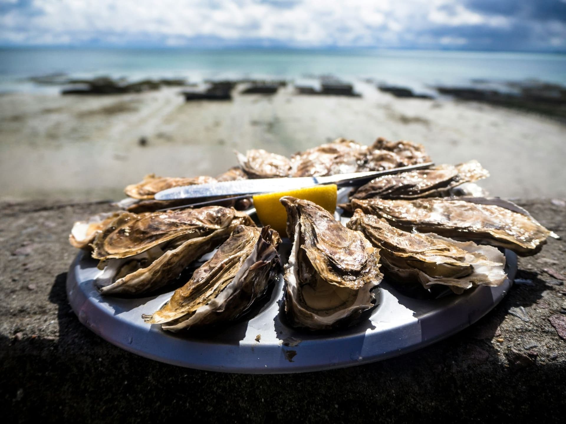 Cancale's Oyster Paradise