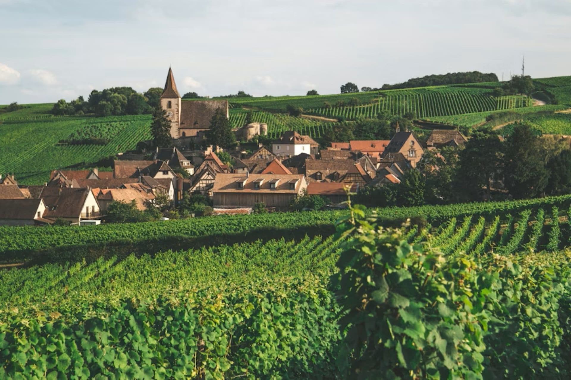 Alsatian Wine Trail Villages