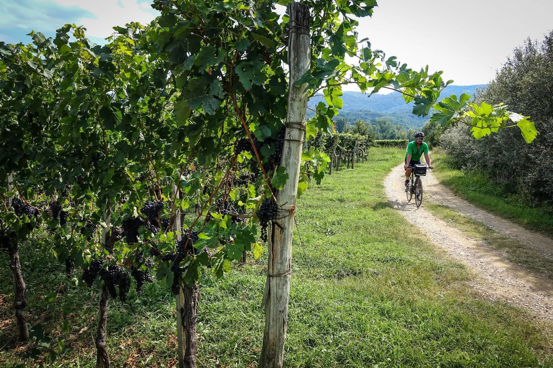Splendors of Slovenia and Croatia Bike Tour