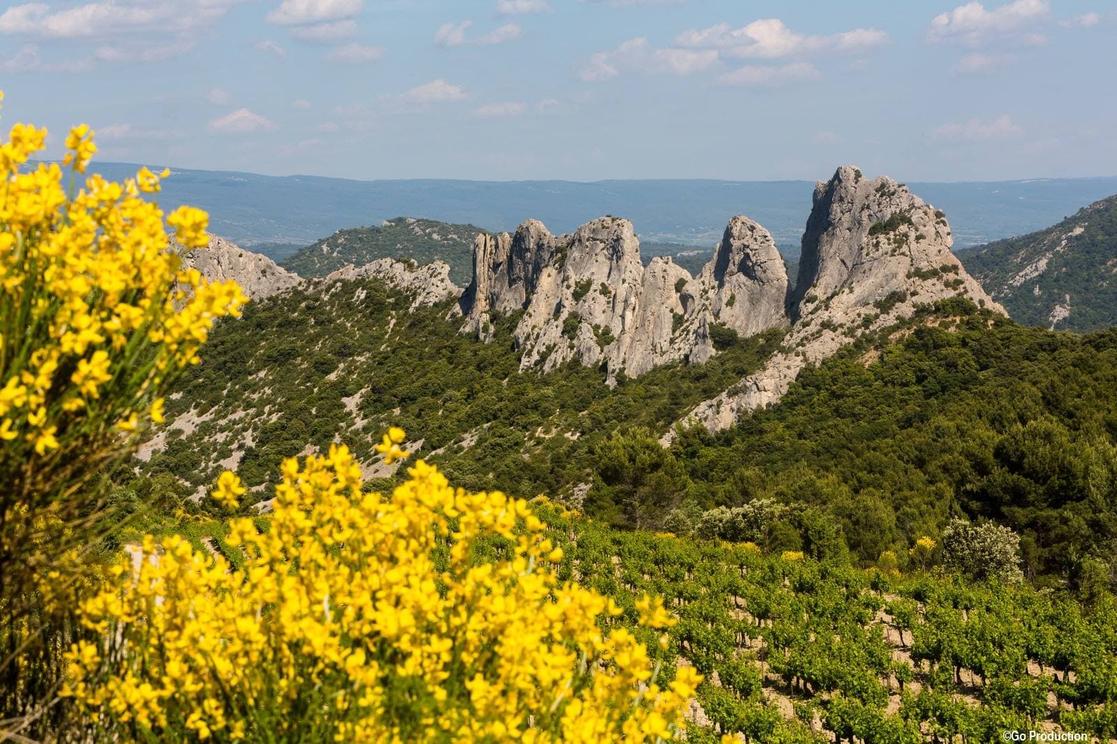 Dramatic Limestone Peaks of Dentelles de Montmirail