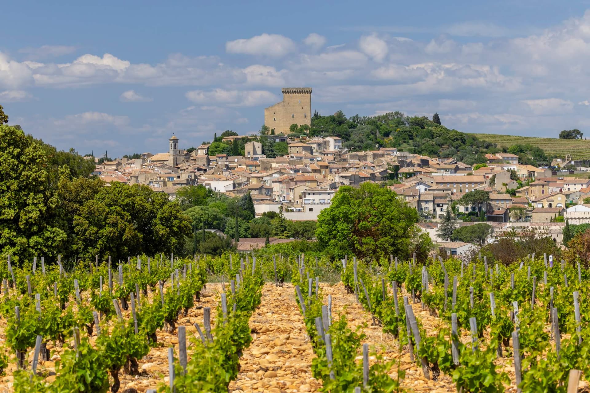 Cycle to Châteauneuf-du-Pape