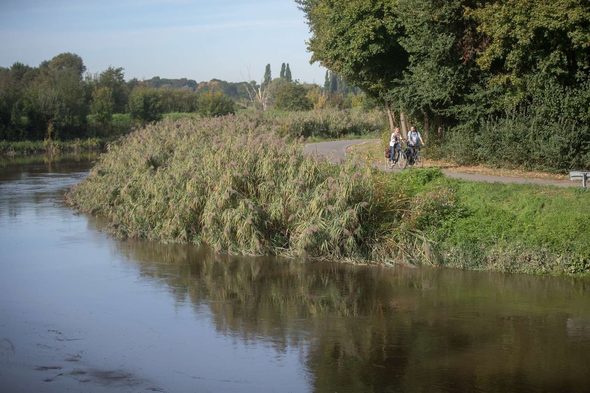 Scenic Cycling Through Varied Landscapes