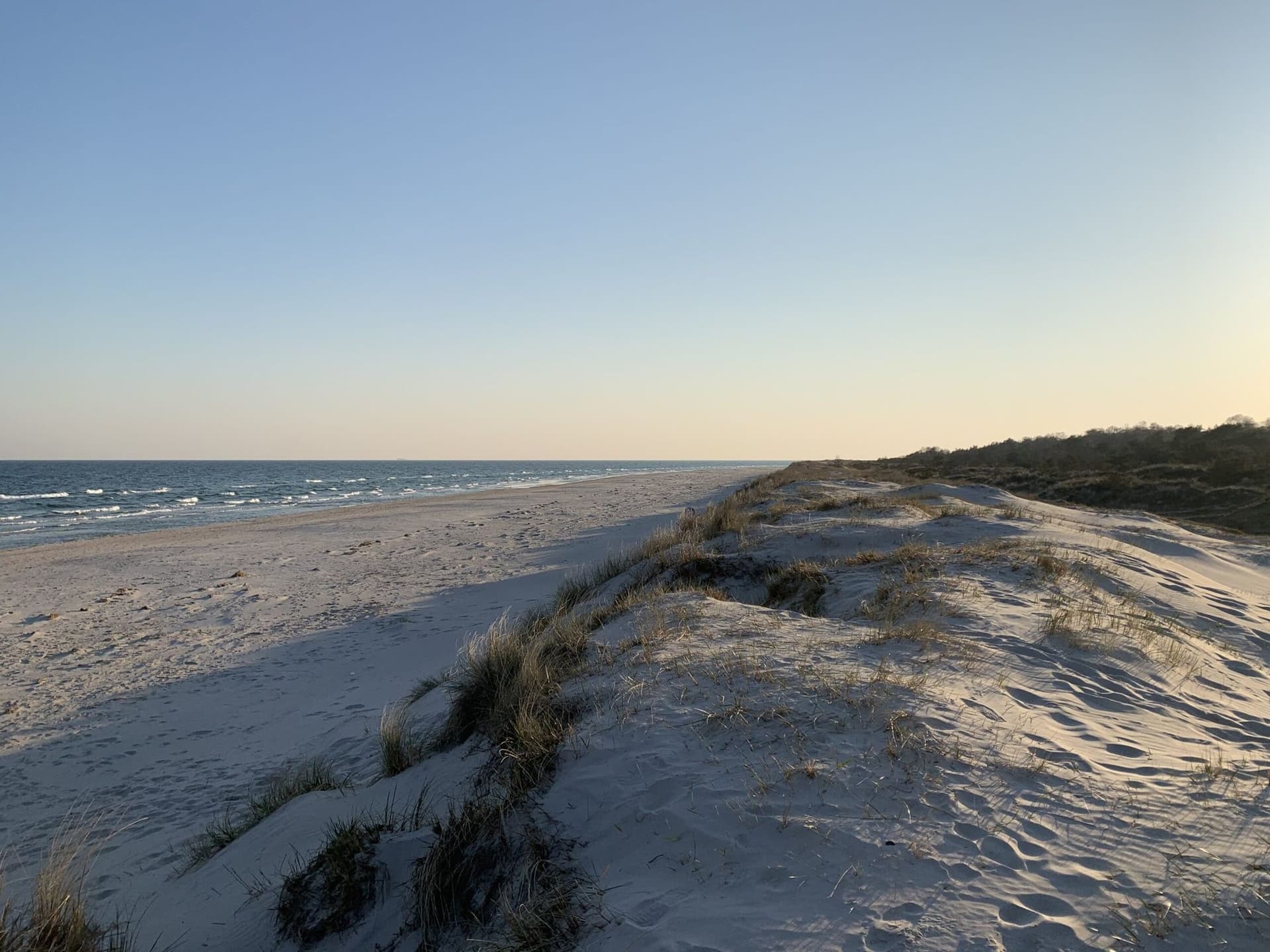 Sandhammaren Nature Reserve