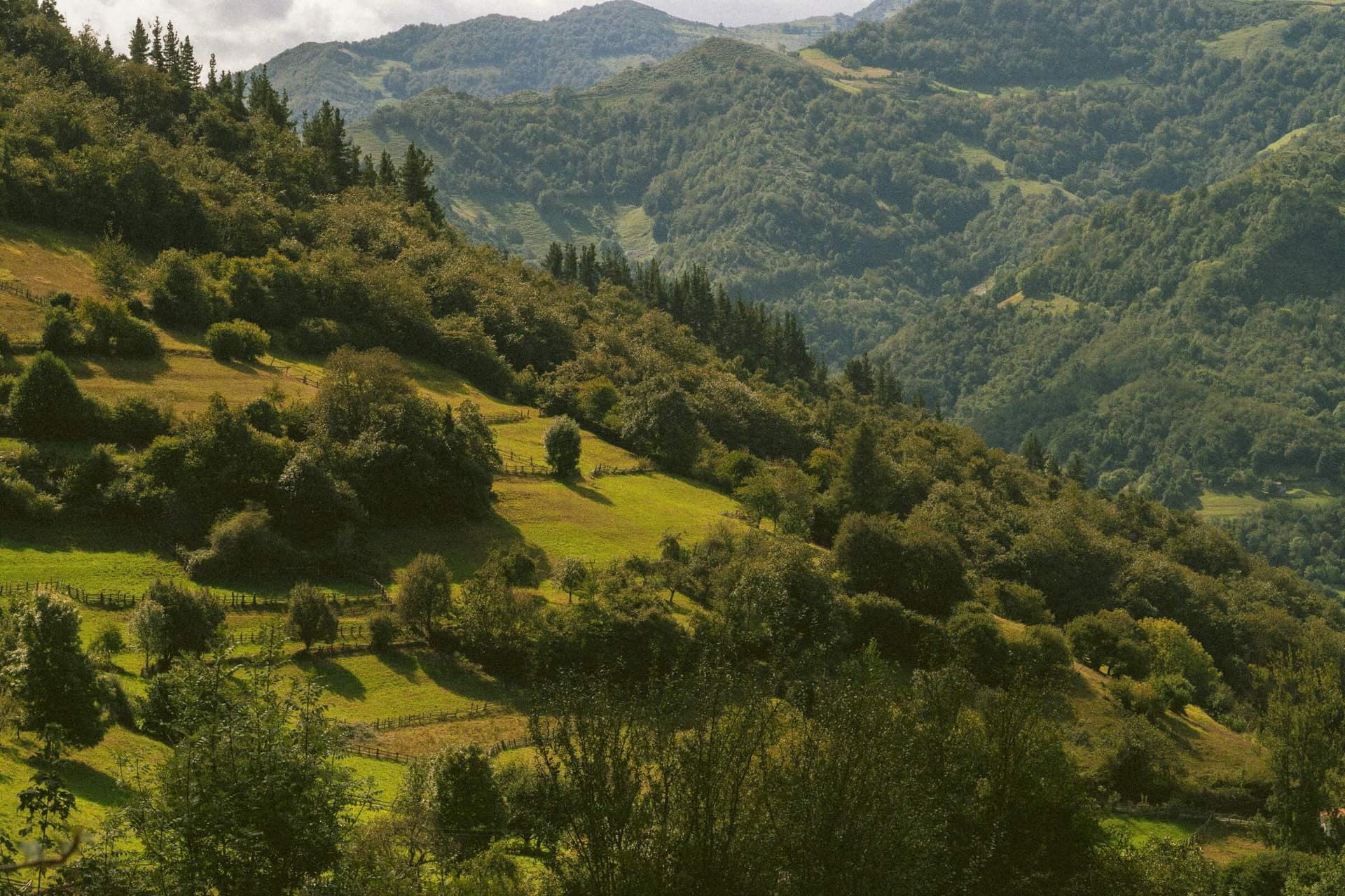 Boutique hiking & walking tours in Asturias