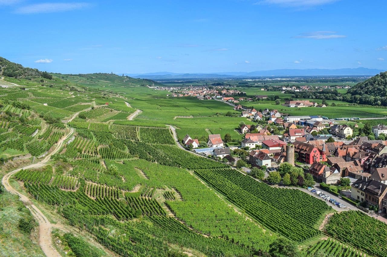 Boutique hiking & walking tours in Alsace