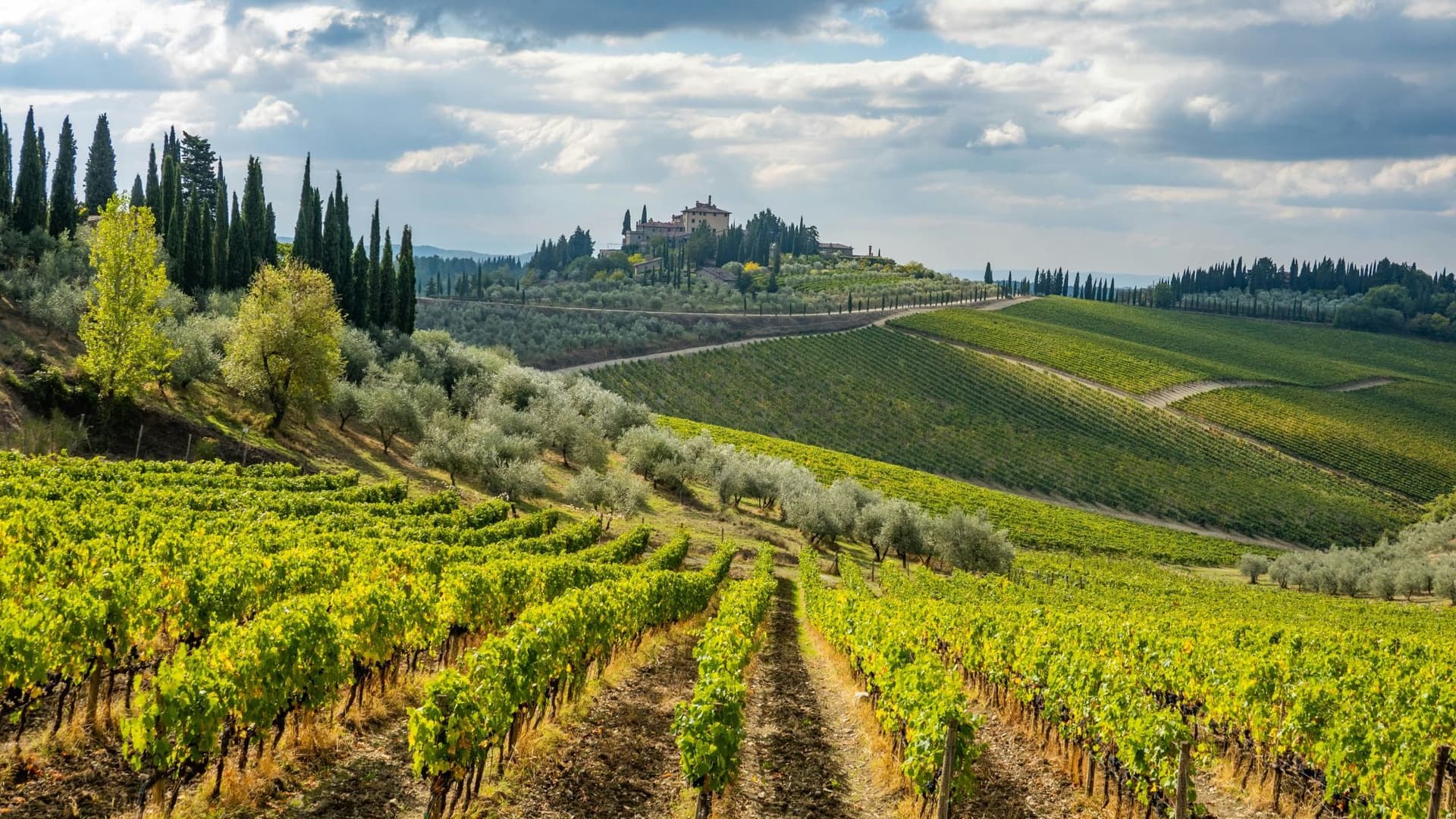 Chianti Wine Country